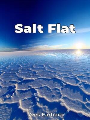 cover image of Salt Flat